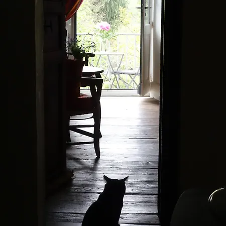 Πανσιόν Crone Castillon-en-Couserans