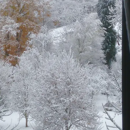 Crone Πανσιόν 3*