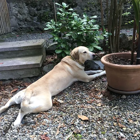 Crone 3* Castillon-en-Couserans