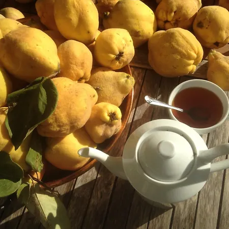 Crone 3* Castillon-en-Couserans