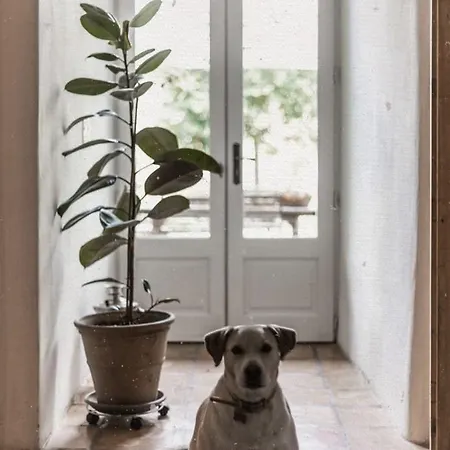 Crone Πανσιόν Castillon-en-Couserans