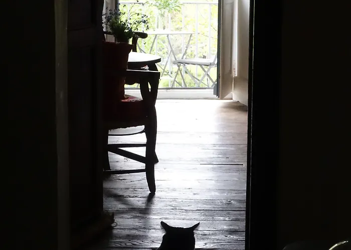 Gasthuis Crone Castillon-en-Couserans