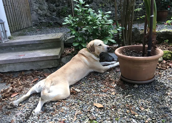 Crone 3* Castillon-en-Couserans