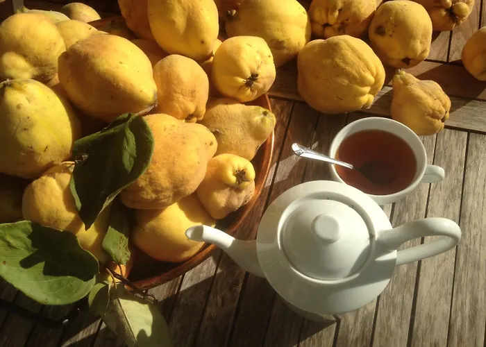 Crone 3* Castillon-en-Couserans