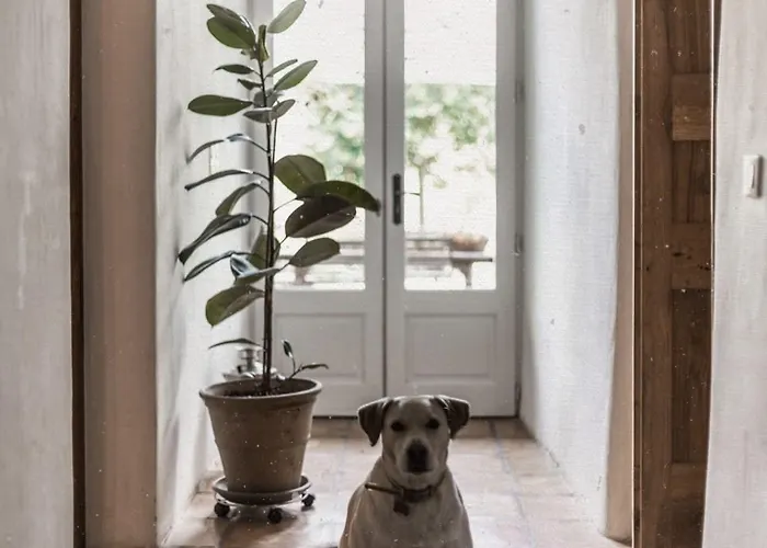 Crone Gasthuis Castillon-en-Couserans